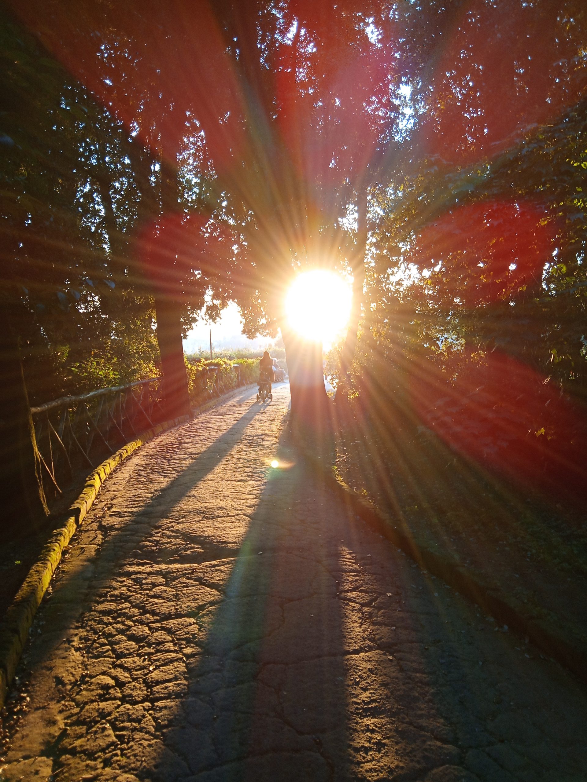 mi illumino di immenso…